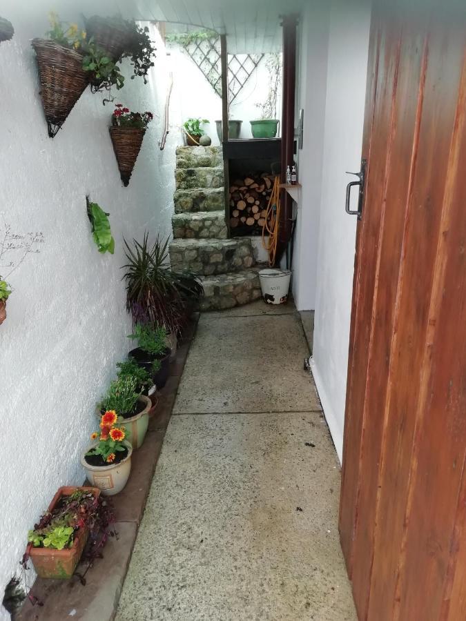 Clearview Cottage St Austell Buitenkant foto